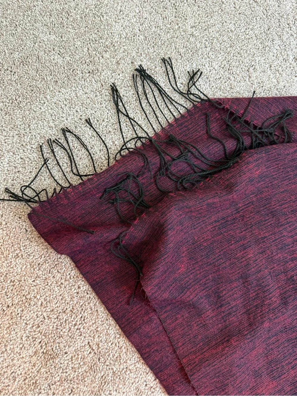 Francesca's Collections Burgundy and Black Fringe Wrap Scarf